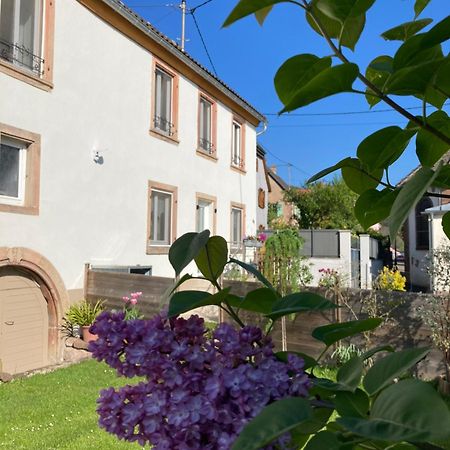 Gite Le 1602 Saint-Nabor 外观 照片