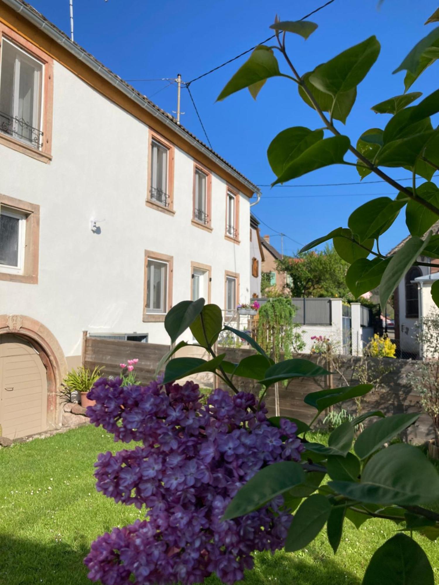 Gite Le 1602 Saint-Nabor 外观 照片