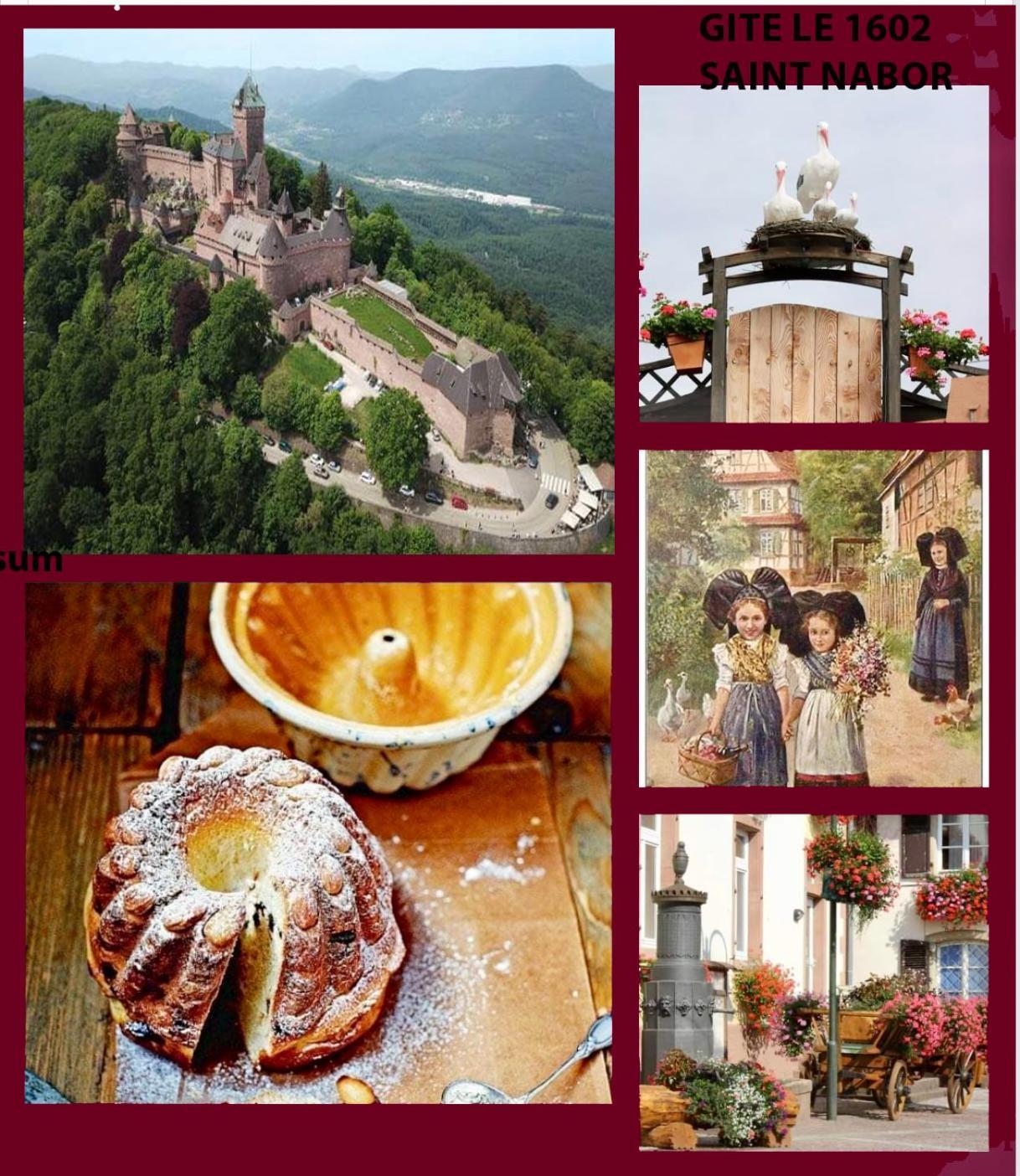 Gite Le 1602 Saint-Nabor 外观 照片